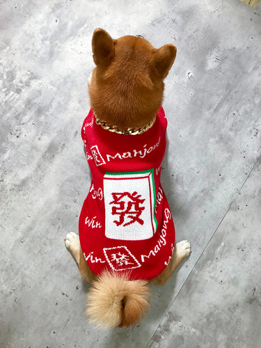 中小型犬新年圣诞毛衣秋冬装
