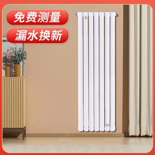竖式 横式 家用集体供暖钢制暖气片壁挂天燃气采暖炉取暖器换热器