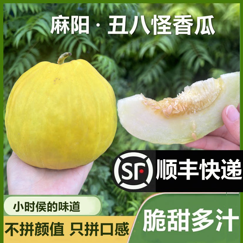 发顺丰湖南怀化本地丑八怪香瓜当甜瓜