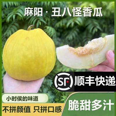 发顺丰湖南怀化本地丑八怪香瓜当季水果甜瓜老品种香瓜脆甜香