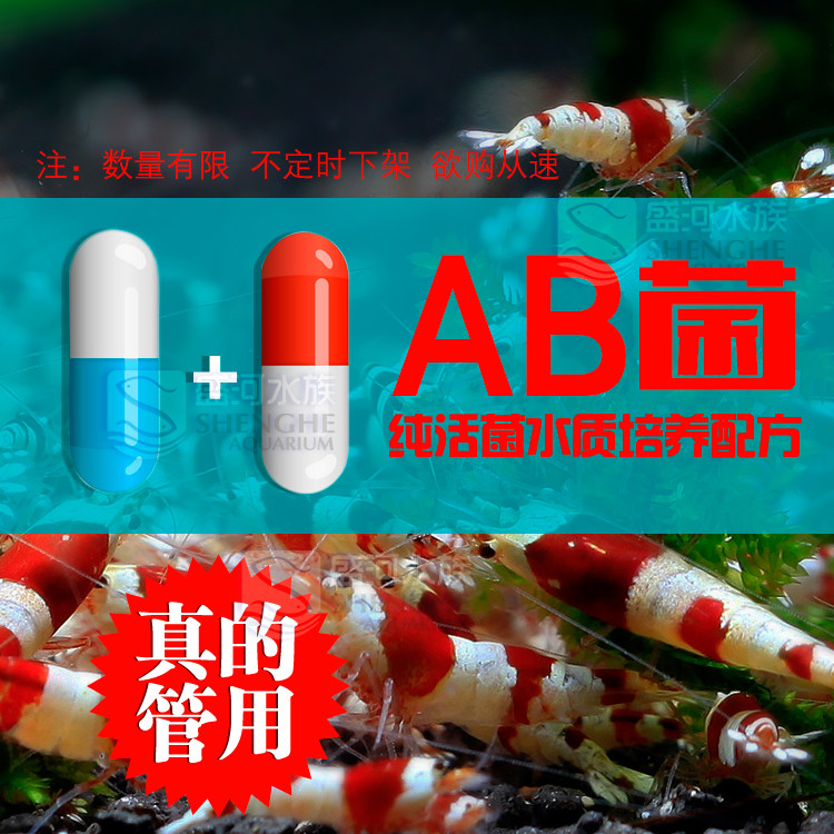 水族养鱼养虾用品硝化细菌AB纯硝化细菌