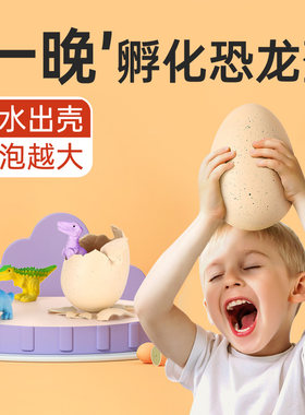恐龙蛋泡水可孵化的盲盒