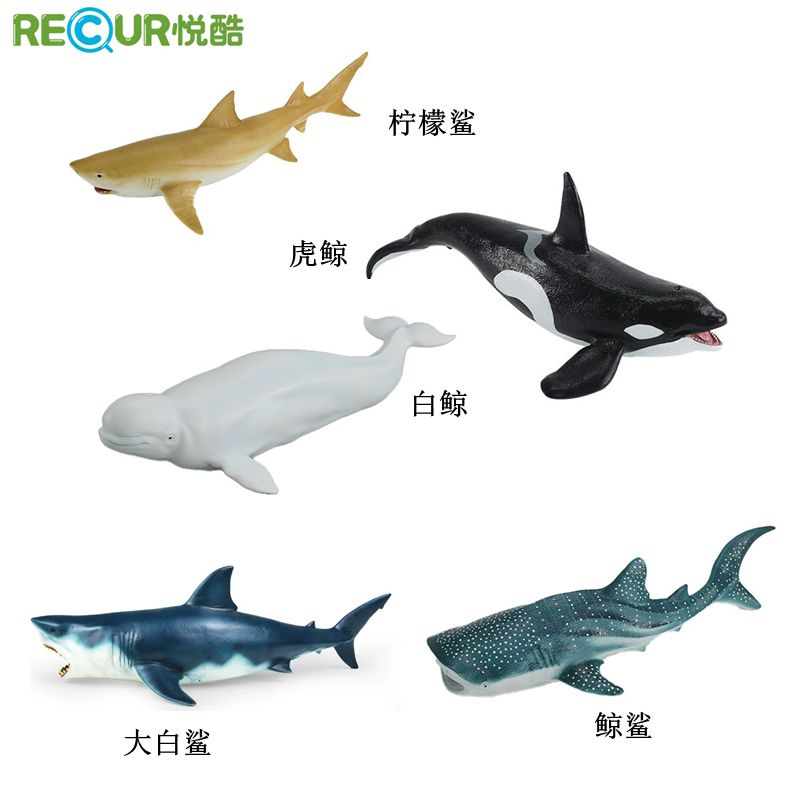 Recur悦酷中号柠檬鲨鲸鲨白鲸虎鲸软胶仿真动物玩具海洋世界模型