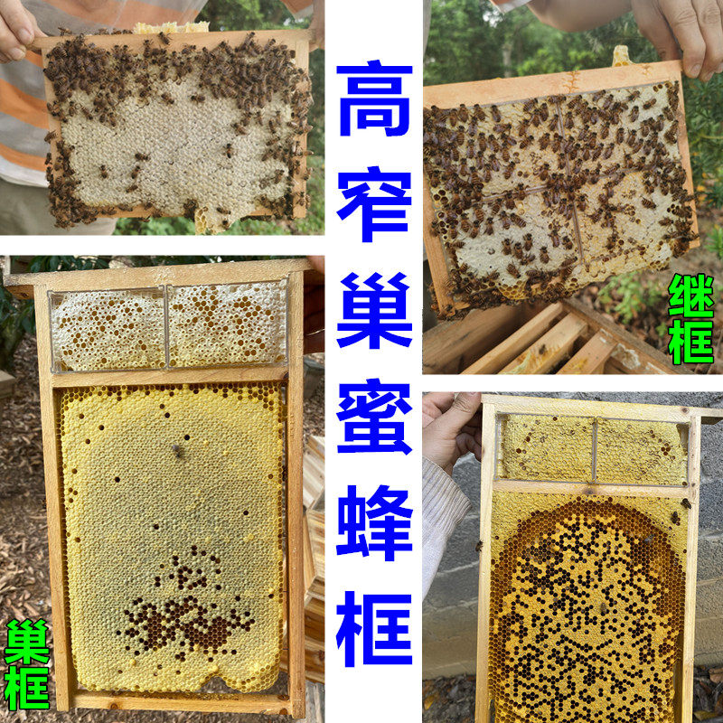 新型半成品散装中蜂蜜蜂组合子蜜分离高窄巢框 交尾箱浅继箱巢框