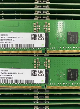 海力士 16G DDR5 4800 ECC RDIMM 服务器内存 HMCG78MEBRA110N