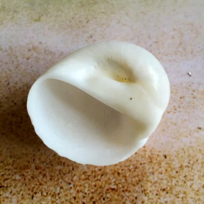 天然白玉螺 海螺贝壳鱼缸 水族箱造景 地台墙面贴饰婚庆装饰 diy