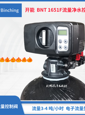 滨清  开能 BNT1651F流量净水控制阀 含旁通适用全屋中央净水
