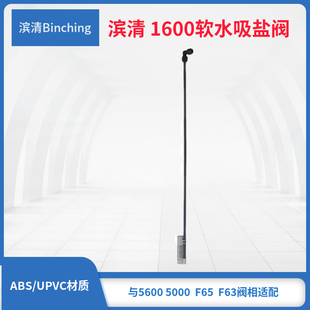 滨清  富莱克空气逆止盐阀 1600盐阀 3/8寸快接 5600阀配的盐阀