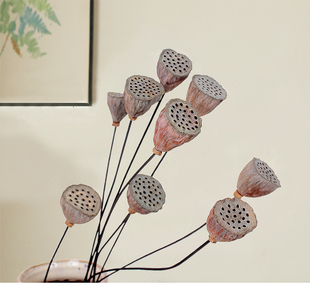 小蓮蓬中國風禪意干花迷你小蓮蓬袖 飾擺件 珍DIY插花客廳茶幾裝