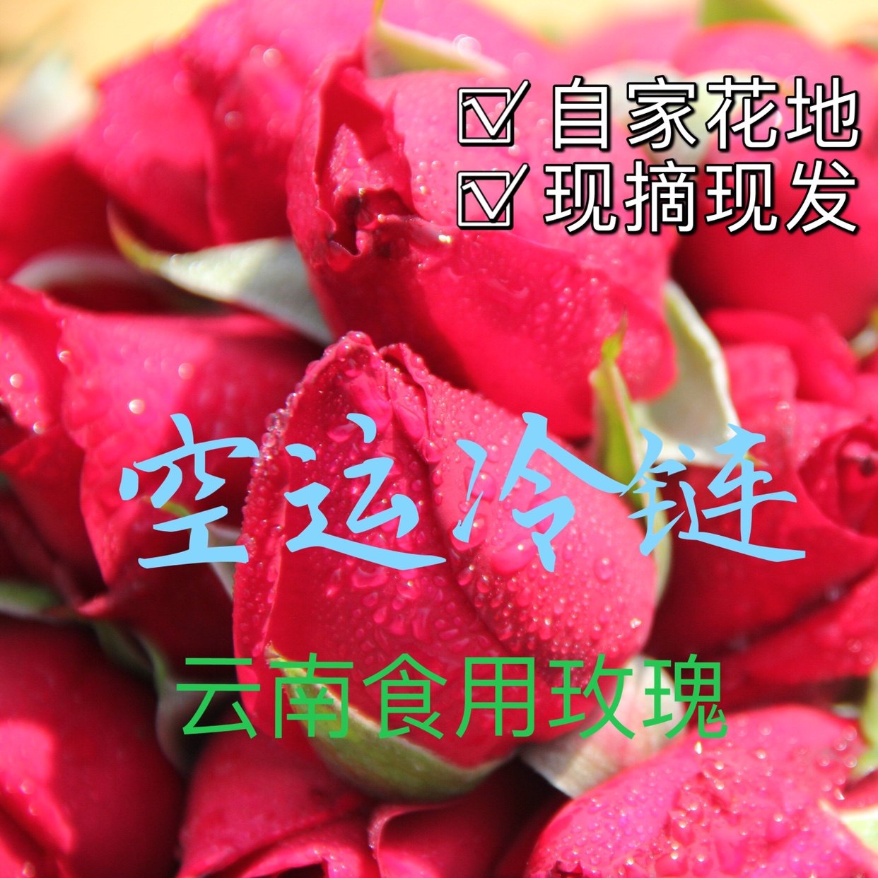 云南可食用玫瑰花3斤墨红玫瑰鲜花头水花食用花苞新鲜花骨朵空运