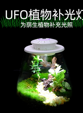 全光谱苔藓植物生长灯微景观补光灯生态瓶植物灯生态缸植物补光灯