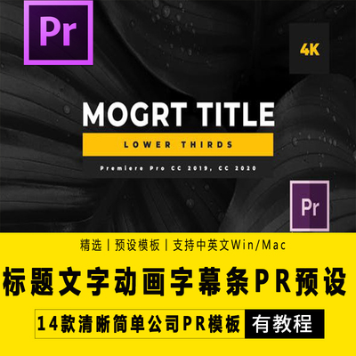 PR插件字幕插件简洁文字标题标题文字动画优雅字幕条PR预设效果
