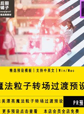 PR转场插件唯美漂亮魔法粒子转场过渡预设Premiere模板