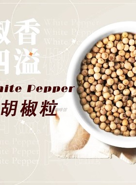 高品质白胡椒粒 white pepper香味浓郁 料理汤底调味酱汁50克香料
