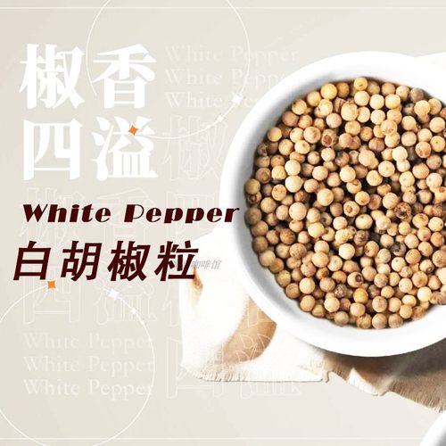 白胡椒浓郁酱汁食用香料