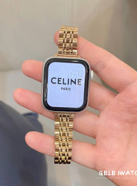 七珠仟细不锈钢适用watchS10表带