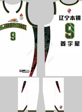 CBA辽宁队新款白色球衣赵继伟3号姜宇星9号张陈治锋31号篮球服DIY