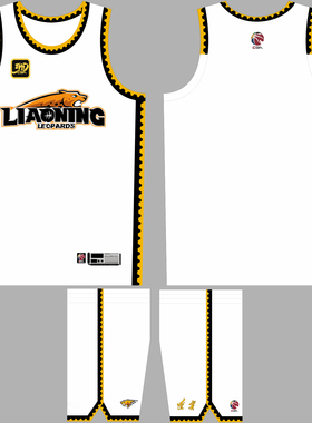 CBA辽宁队篮球服女队服男篮定做夏季篮球衣DIY印号团购定制LOGO