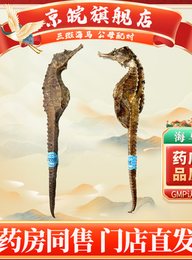 三斑海马干货中药材饮片入药煲汤泡酒温肾壮yang消肿正品 旗舰店