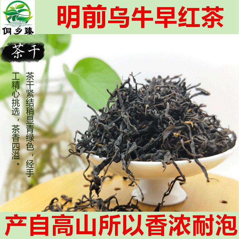 定制侗乡臻2023新茶叶广西三江布央高山乌牛早红茶250g陶瓷礼盒送