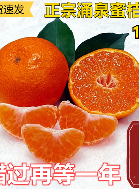 台州涌泉蜜桔浙江临海宫川新鲜无核高山薄皮橘子整箱桔子10斤现摘