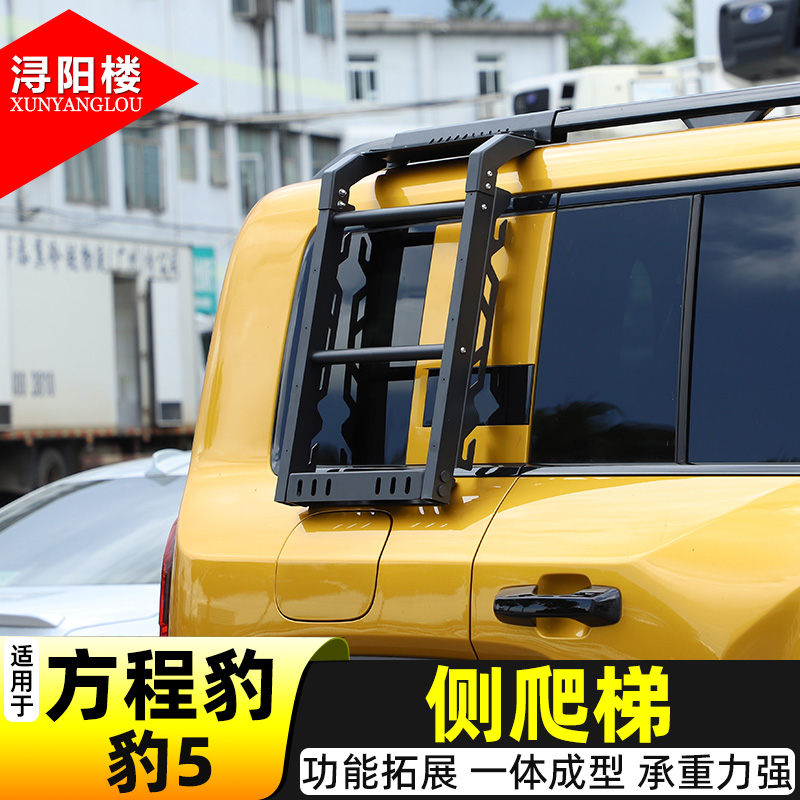 適用于方程豹豹5側爬梯