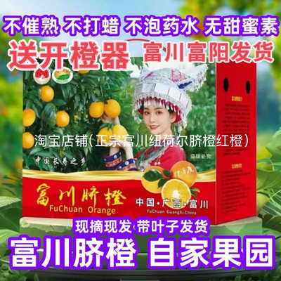 广西贺州正宗富川脐橙现摘现发