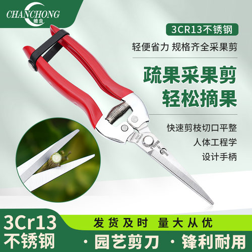 蟾虫803 园艺修剪枝采果剪摘果剪花椒剪枸杞采摘工具果蔬剪刀花剪