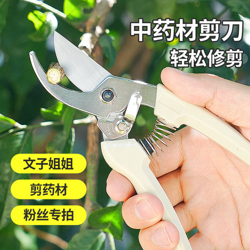 文子姐中药材剪刀中药剪西洋参剪