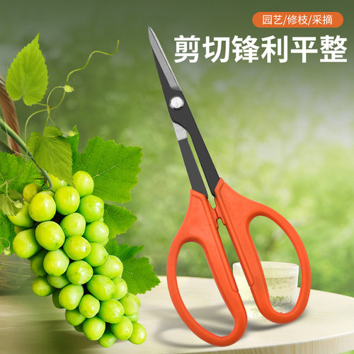 佐川田园艺修枝叶芽剪葡萄蔬果剪
