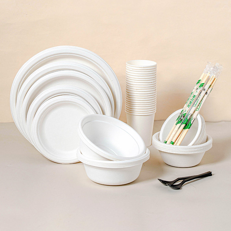 一次性碗筷套装食品级家用纸碗纸盘餐具 烧烤野餐盘子可降解饭碗