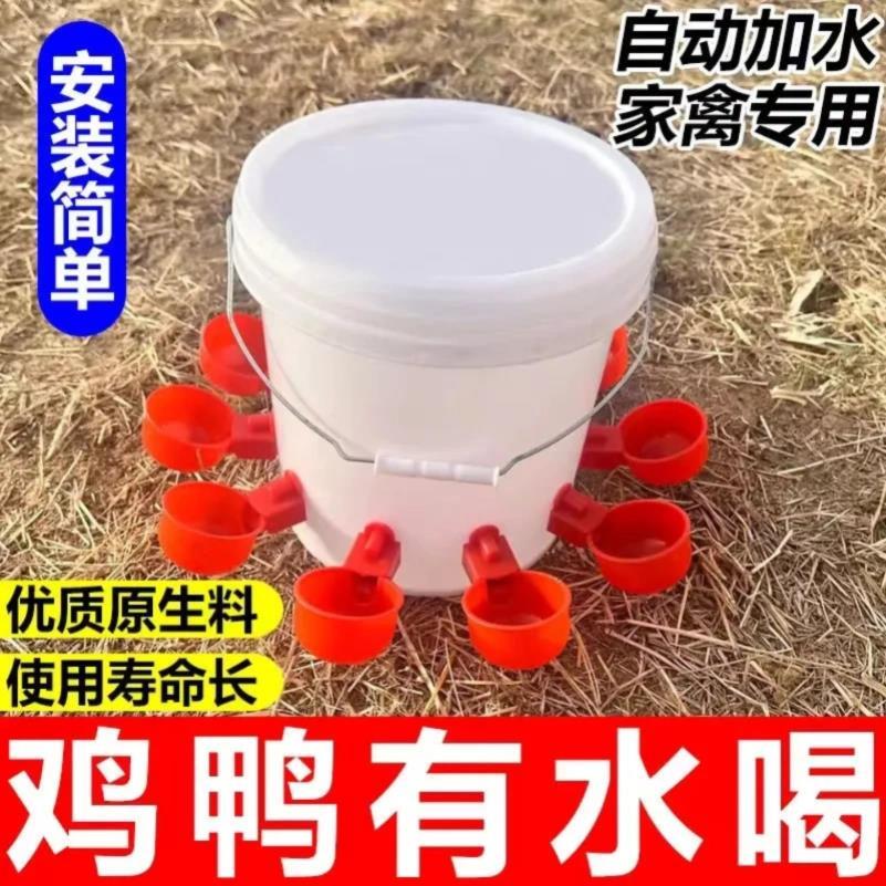 鸡用鸭鹅鸽鹌鹑自动饮水器喝水碗