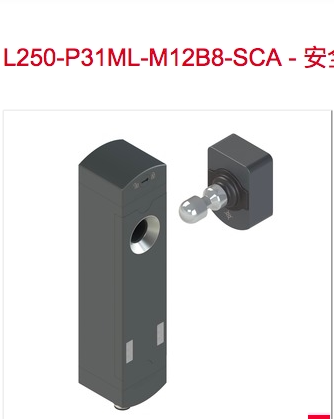 L250-P31ML-M12B8-SCA L250-P41SL-CB02M12S8-PB-UCA安全门锁