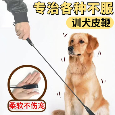 狗打棒训犬打狗棍教育宠物马拍训