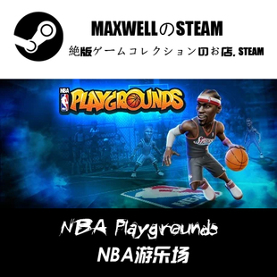 NBA游乐场1 收藏 全球KEY NBA Playgrounds 游戏 绝版 STEAM正版