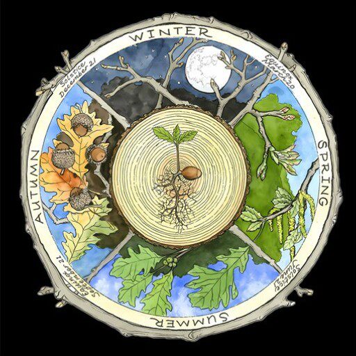 塔luo牌tarot桌布卡牌布桌布