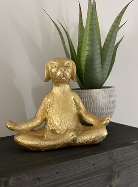 跨境新品goldenya金色瑜