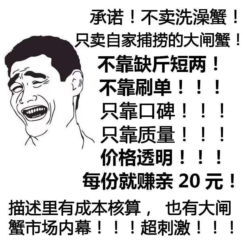 苏州太湖大闸蟹鲜活水产现货公3.4-3.7母2.4-2.7两10只中秋礼