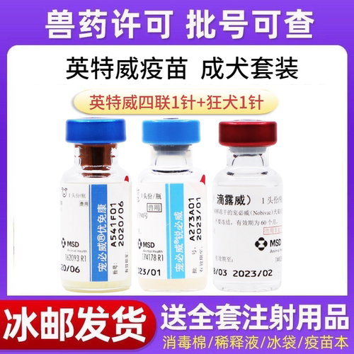 英特威荷兰防疫狗狗预防犬瘟细小