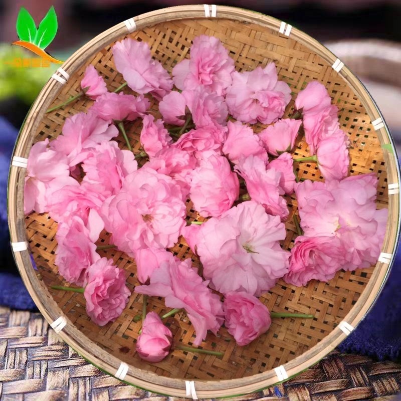 2023新鲜樱花食用鲜花八重樱做樱花酒纯露酵素樱花酱现摘三斤起订