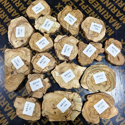 秘鲁圣木木片标本原木底座爆油老料palosanto秘鲁圣木块原材料
