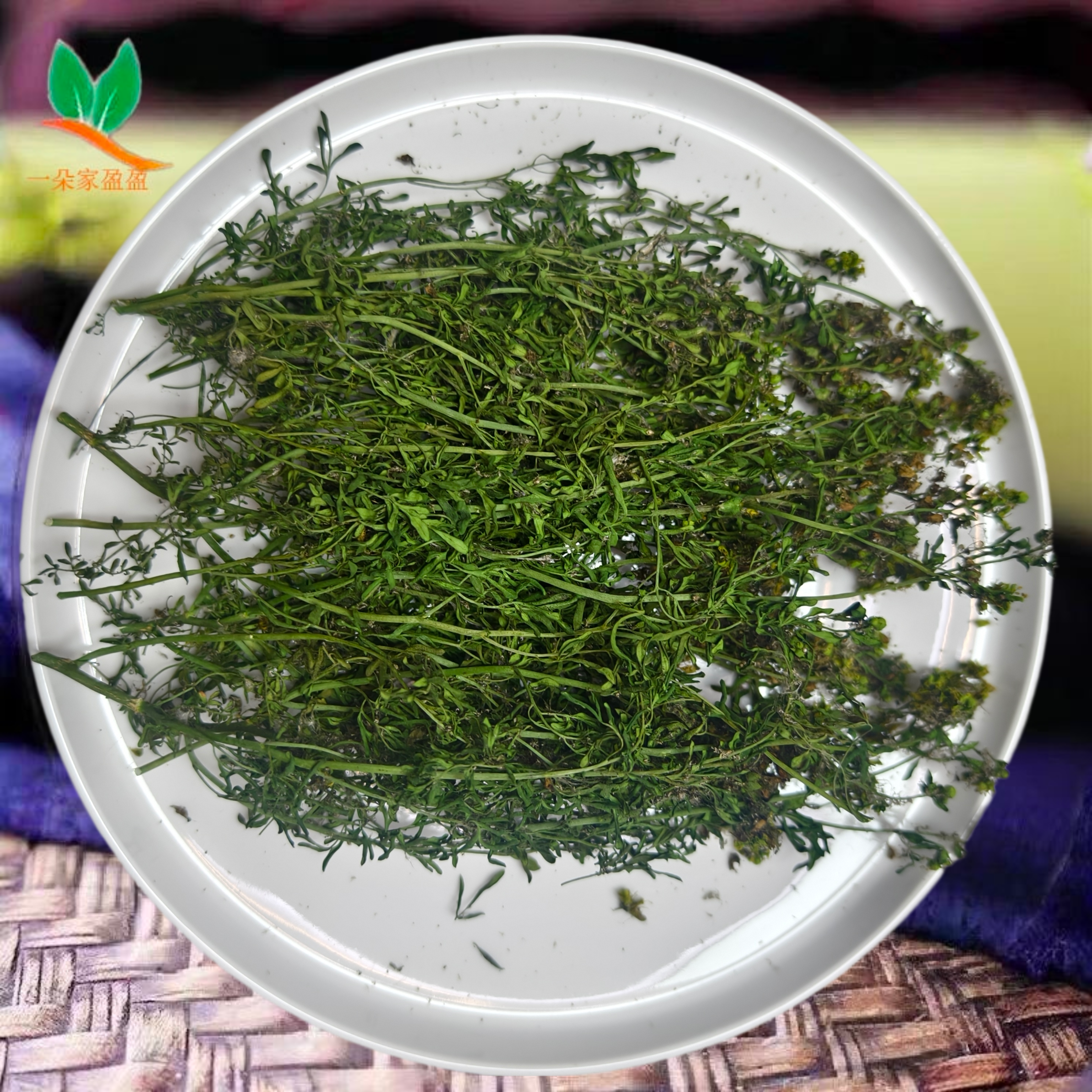推荐新货芸香草防虫干枝叶灵香臭草调香diy合香香薰香包制原材料