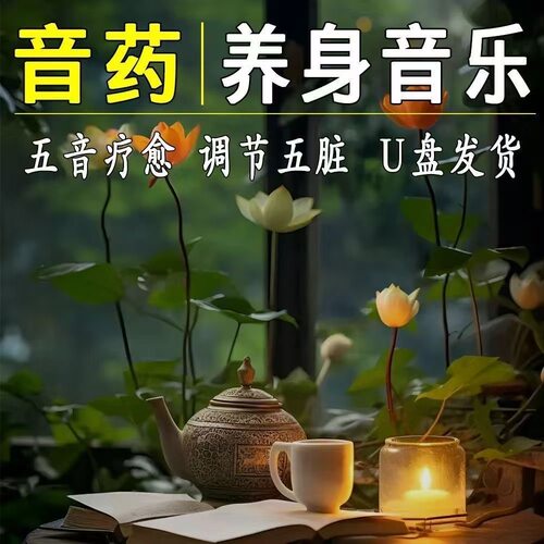 五音养生经典轻音乐u盘U优舒缓心情古琴琵琶笛子茶室车载无损纯音