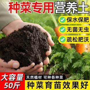 营养土种菜专用土种植土阳台蔬菜有机土家用盆栽育苗土通用花土壤