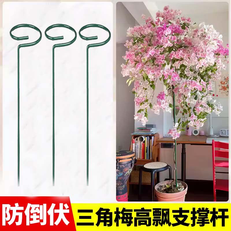 三角梅高飘支撑杆爬藤花架龟背竹绣球吊兰朱顶红铁艺防倒伏支架子