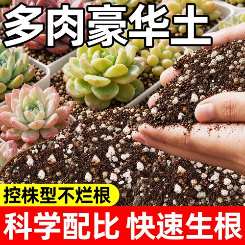 多肉专用颗粒营养土铺面石