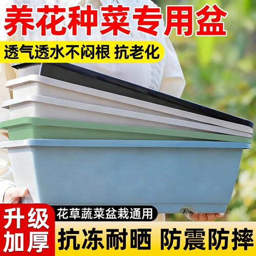 种菜盆家用阳台种菜专用盆