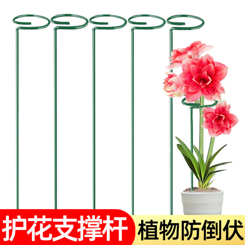 植物防倒伏支架护花固定架