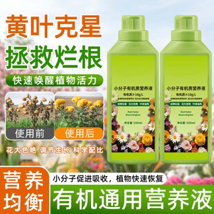 植物通用营养液小分子有机质再生剂花卉盆栽阳台不伤根苗园艺花肥