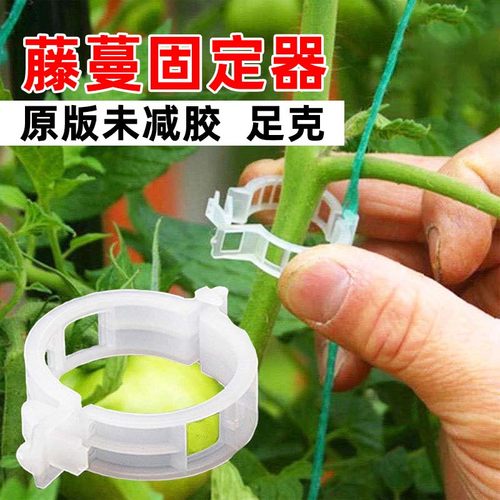 植物瓜果植物夹绿植秧苗固定夹